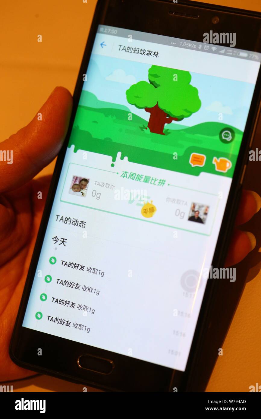 FILE -- un teléfono móvil chino usuario juega 'Ant' juego de bosque chino  de comercio electrónico Alibaba hormiga gigante del ejercicio en su  smartphone en Shanghai, Chi Fotografía de stock - Alamy