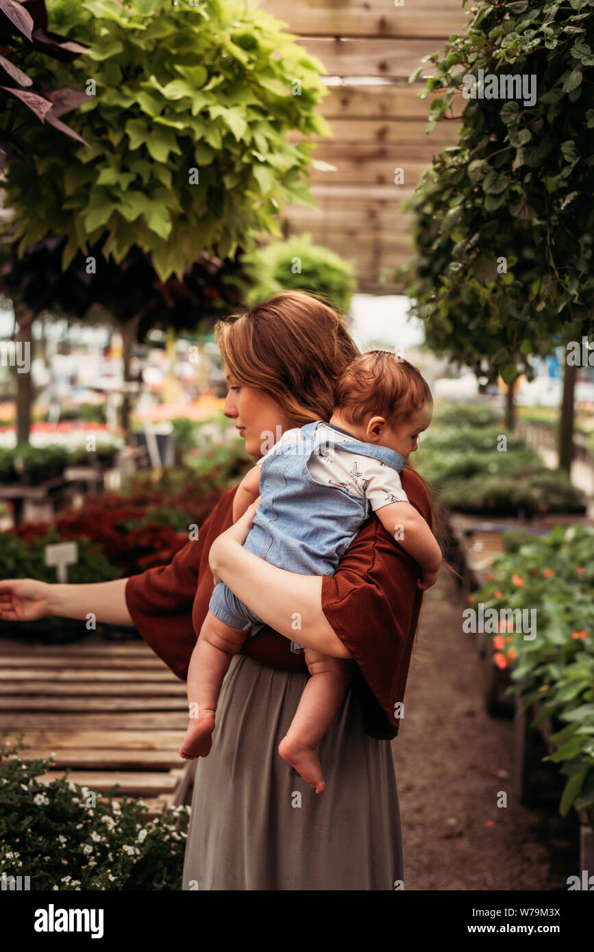 Comprar plantas madre orgánica Foto de stock