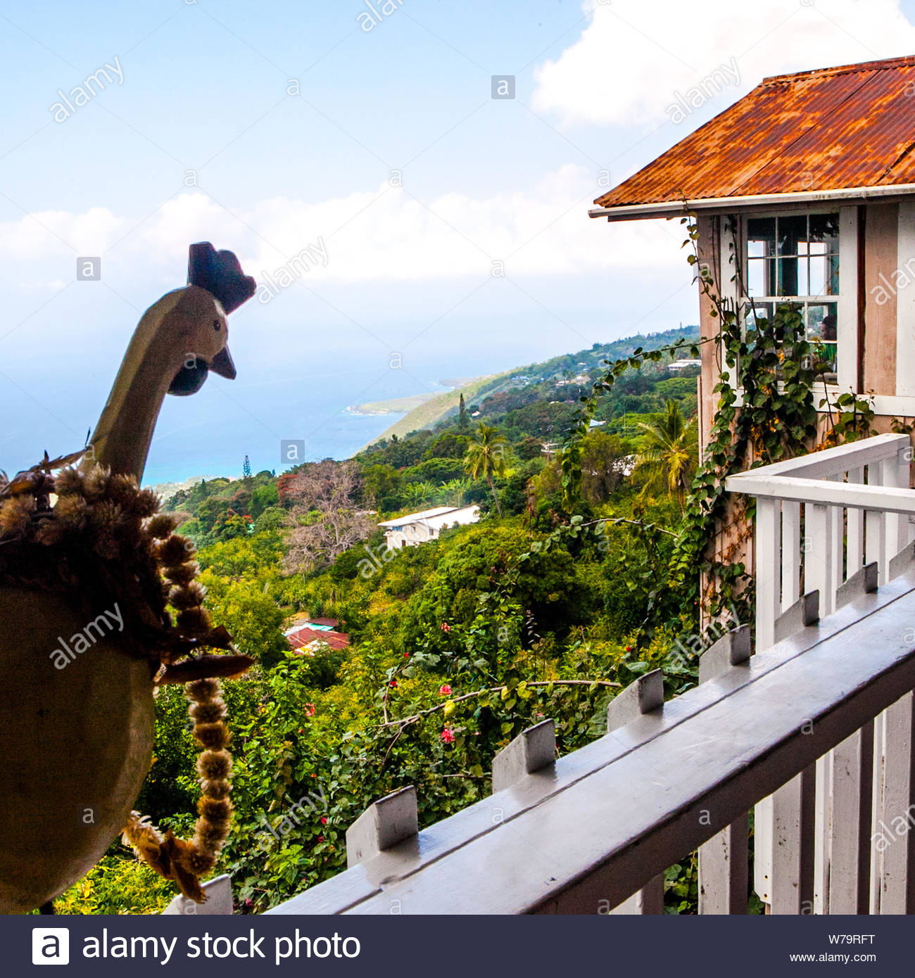 Hawai, Estados Unidos - Septiembre 07, 2012 : un café en la Isla Grande de Hawaii tiene una gran vista Foto de stock