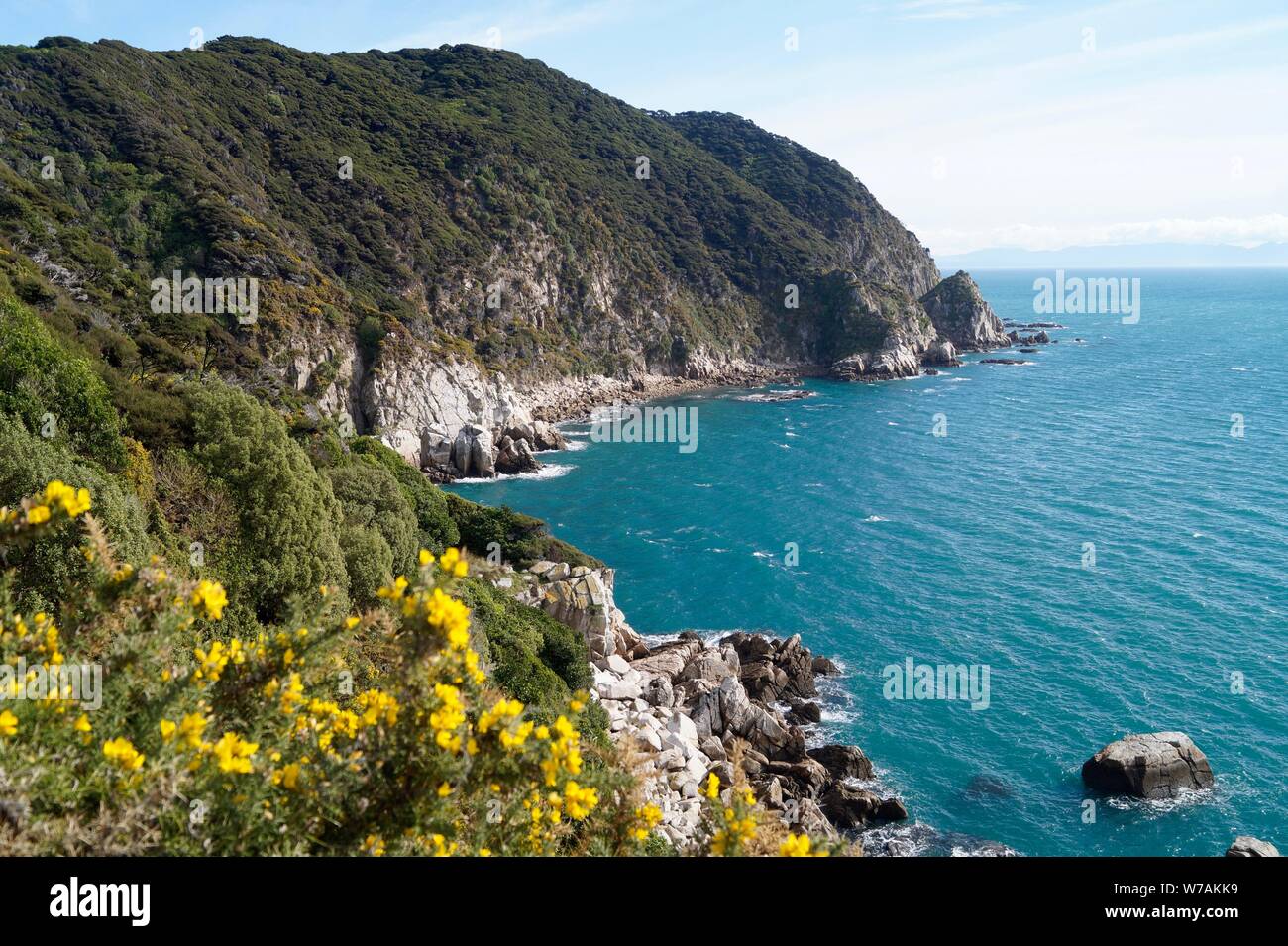 Acantilado vista del Parque Nacional de Abel Tasman Foto de stock