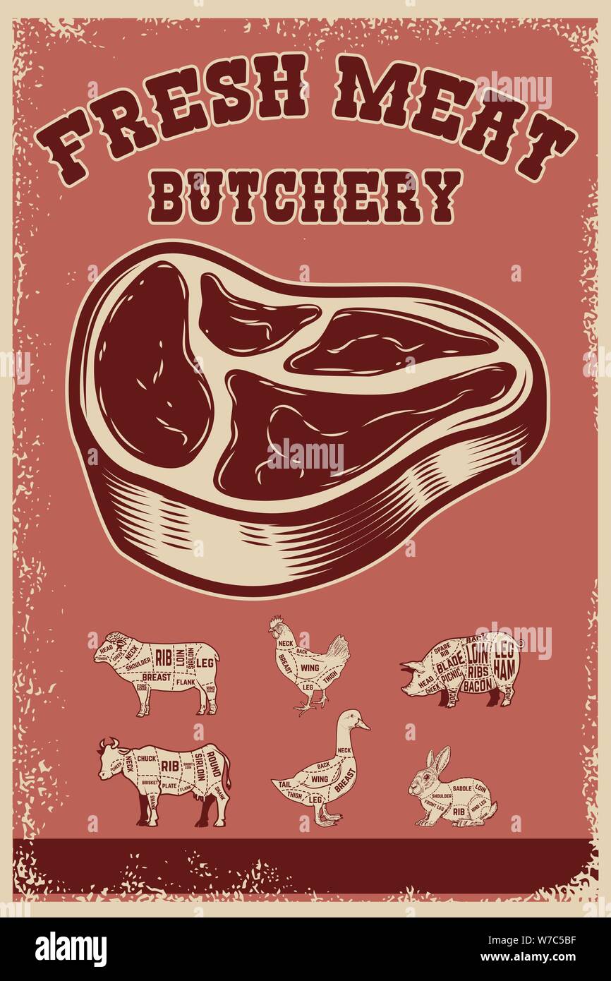 La carne fresca. Poster Plantilla con carne cortada en grunge antecedentes. Ilustración vectorial Ilustración del Vector