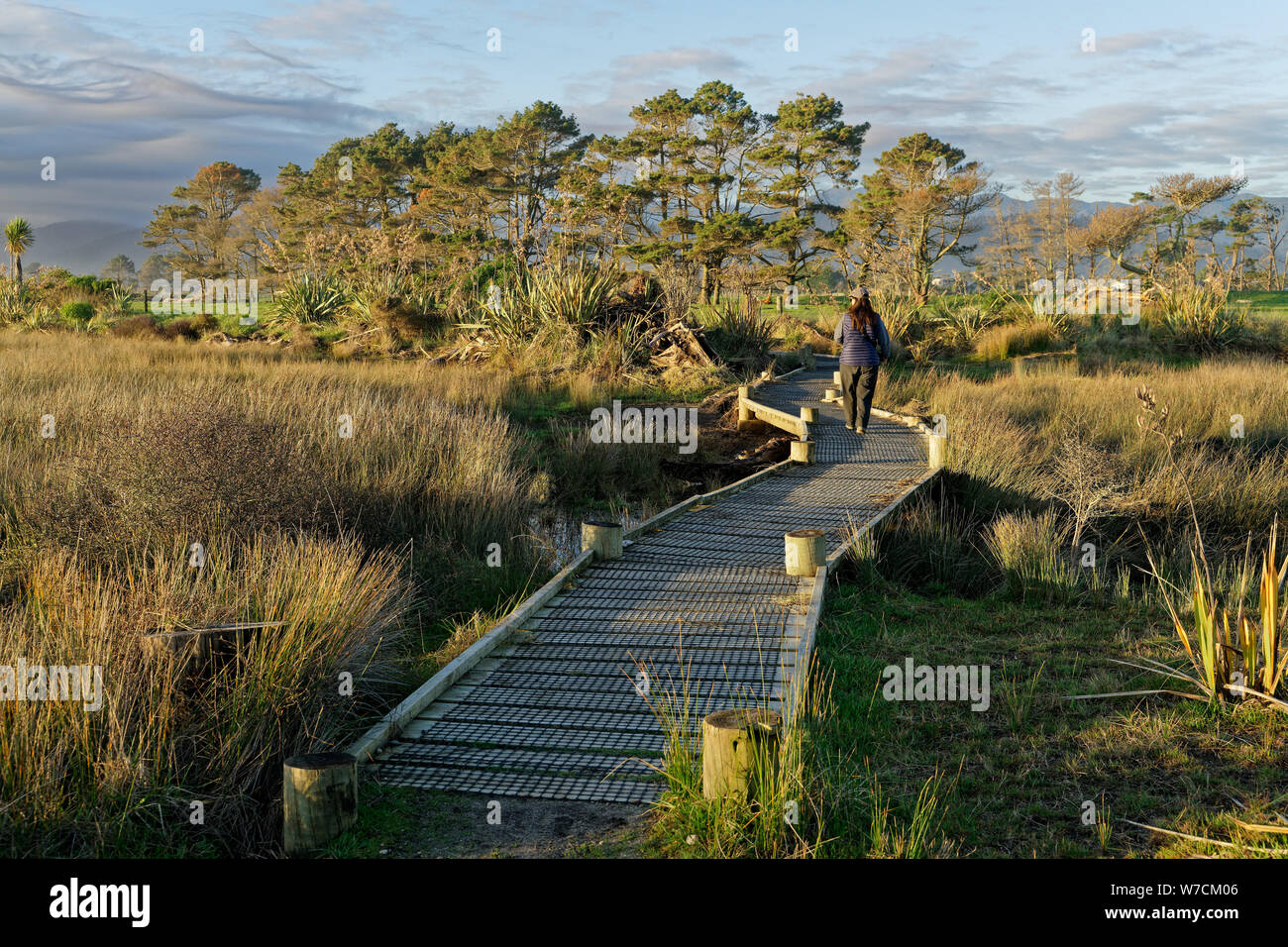 Estuario paseo boardwalk Karamea, región de la costa oeste, Nueva Zelanda. Foto de stock
