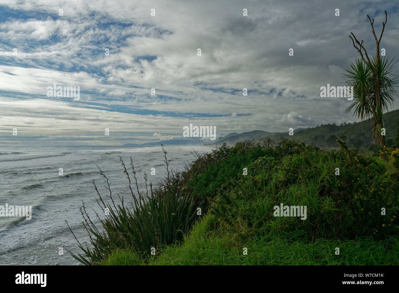 Mirando hacia el norte de la costa oeste hacia Karamea, región de la costa oeste, Nueva Zelanda. Foto de stock