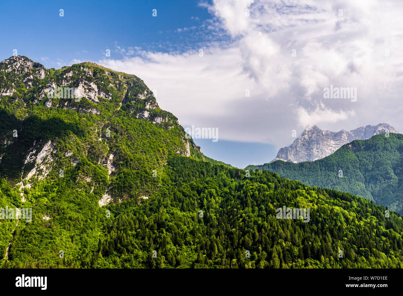 Las montañas cerca de Lago del Vajont, Friuli-Venezia Giulia, Italia Foto de stock