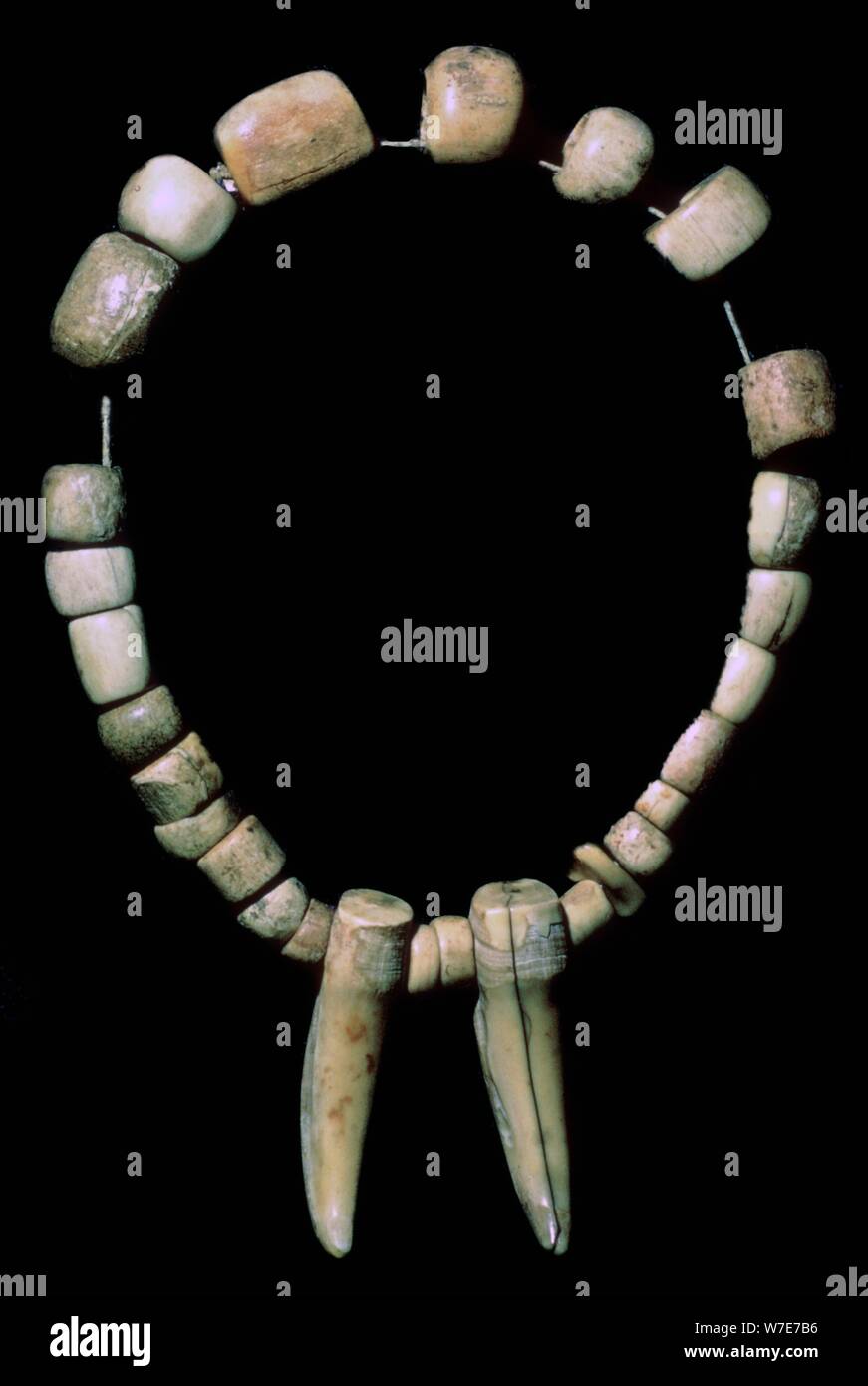 Collar prehistórico fotografías e imágenes de alta resolución - Alamy