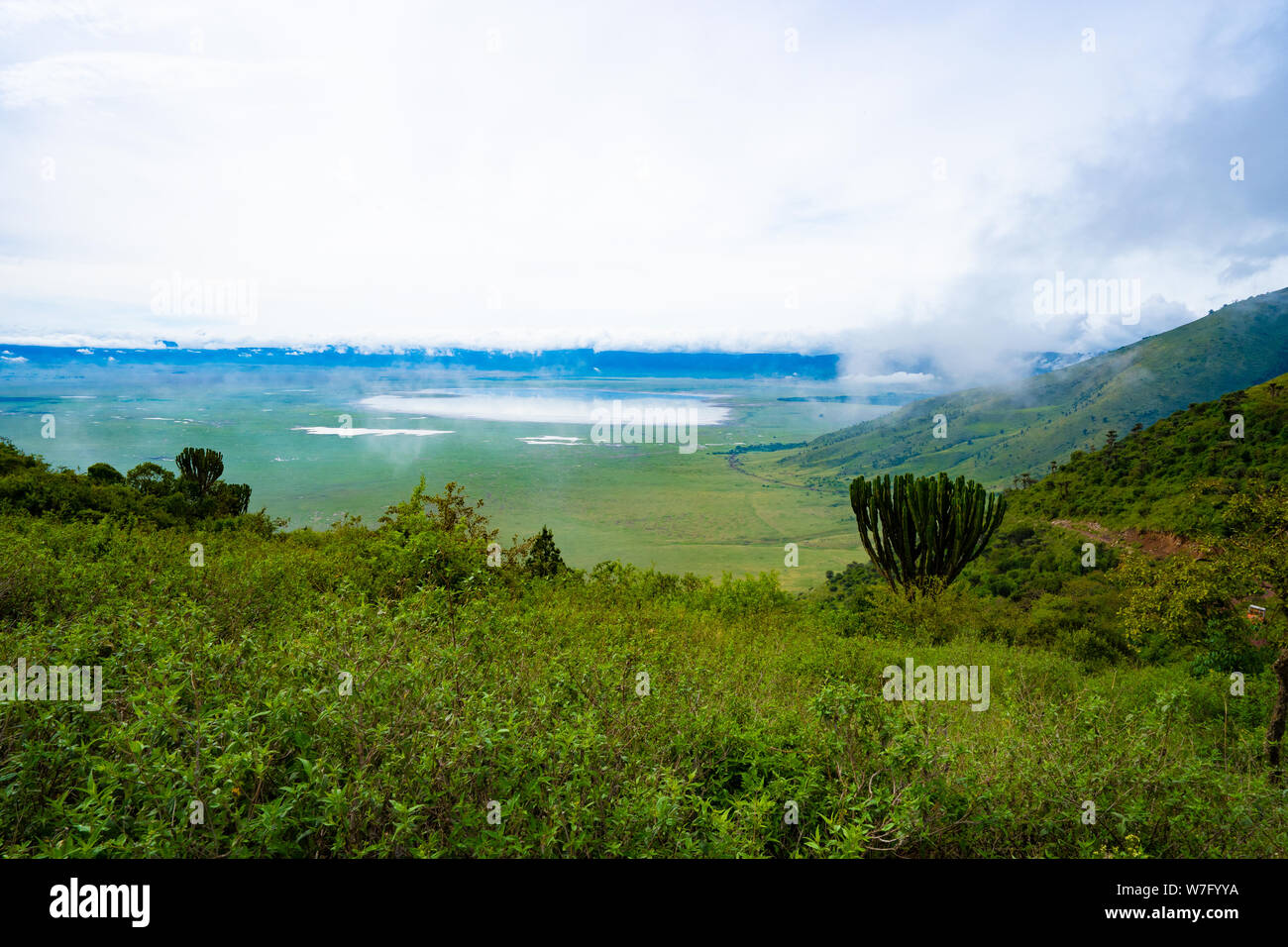 En el Área de Conservación de Ngorongoro, Tanzania. Vista del cráter Foto de stock
