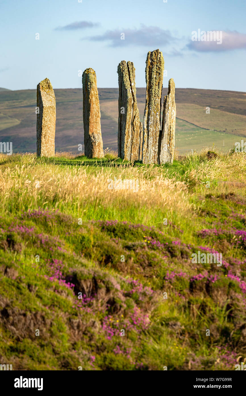 Anillo de Brodgar en Orkney en una tarde de verano por la tarde Foto de stock