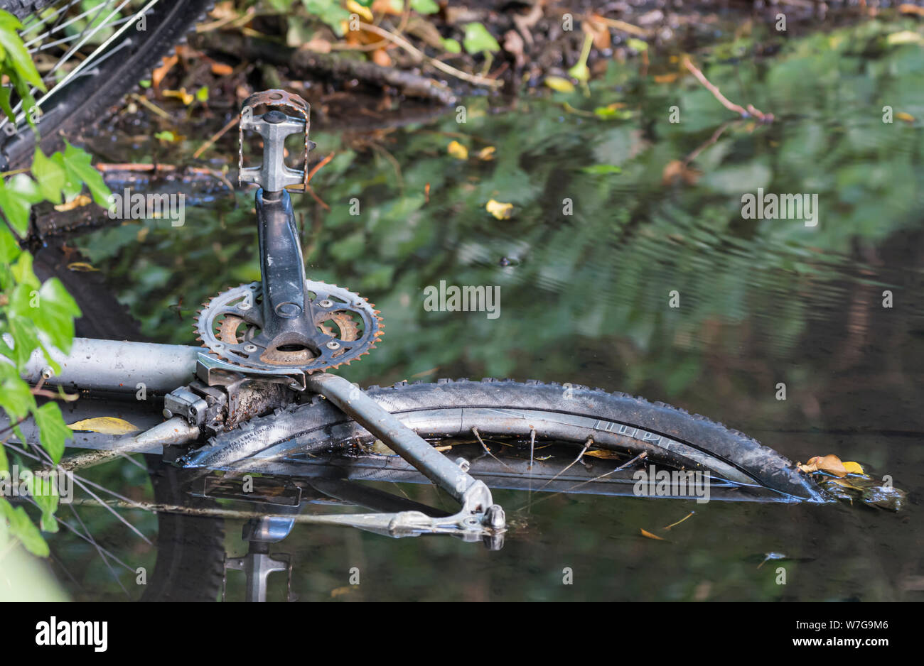 Casco de bicicleta, objeto de dumping vendidas o abandonadas en el agua en un arroyo o río. Bicicleta a podrirse. Foto de stock