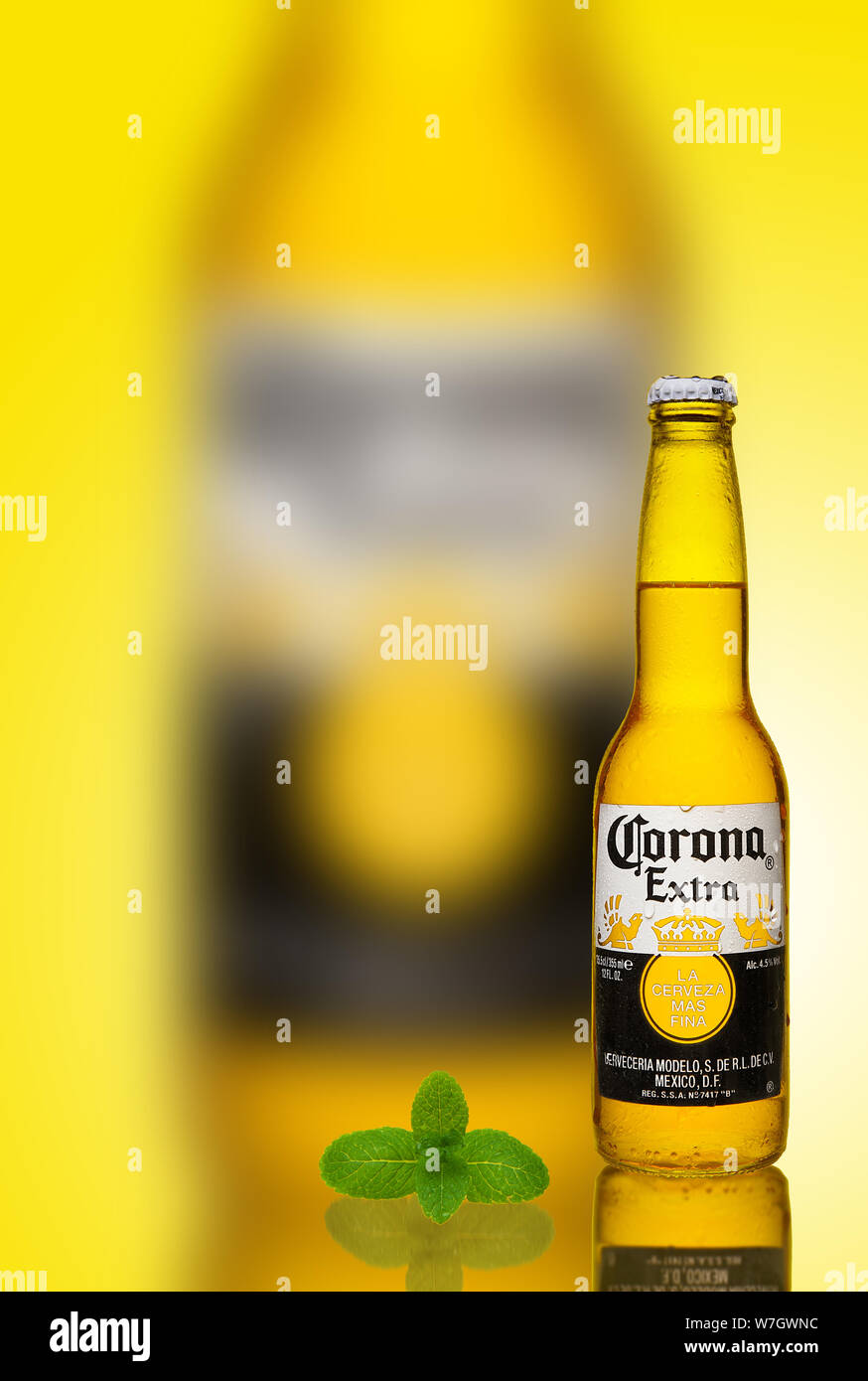 Botella de cerveza lager vaso mexico fotografías e imágenes de alta  resolución - Página 3 - Alamy