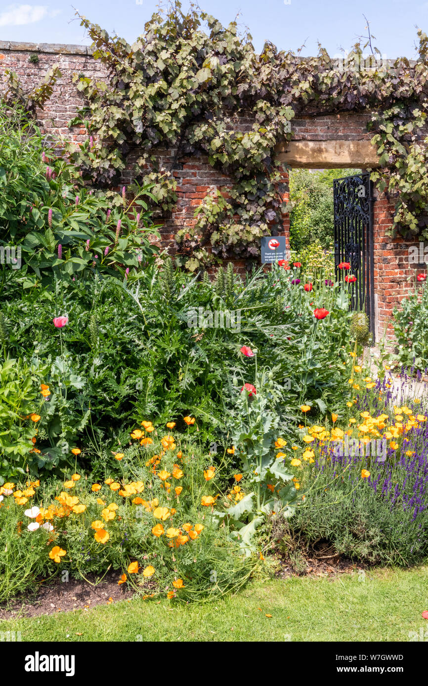A comienzos del verano en los jardines de Beningborough Hall, North Yorkshire, Reino Unido Foto de stock