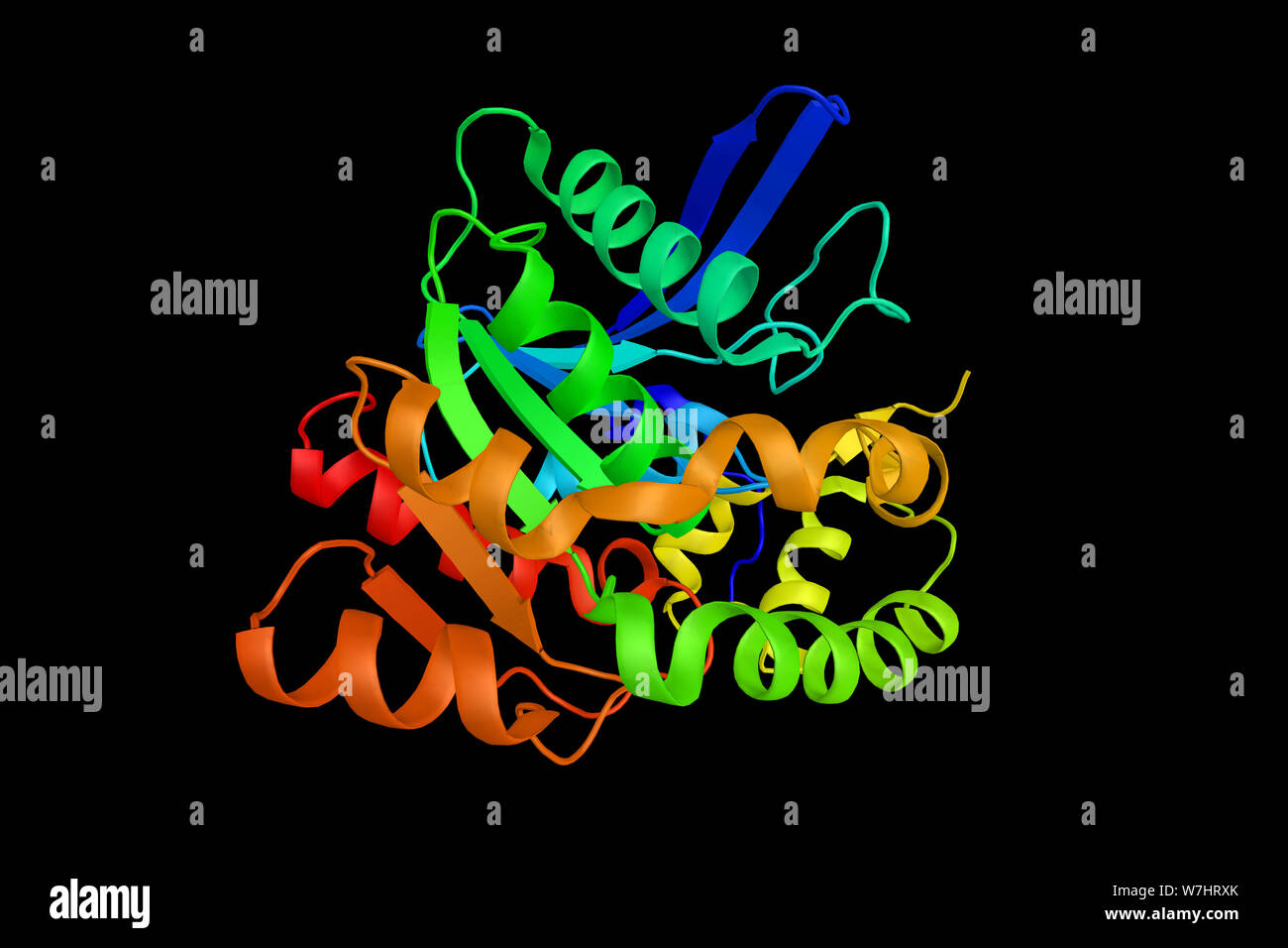 La proteína fosfatasa methylesterase1, una enzima con nombre
