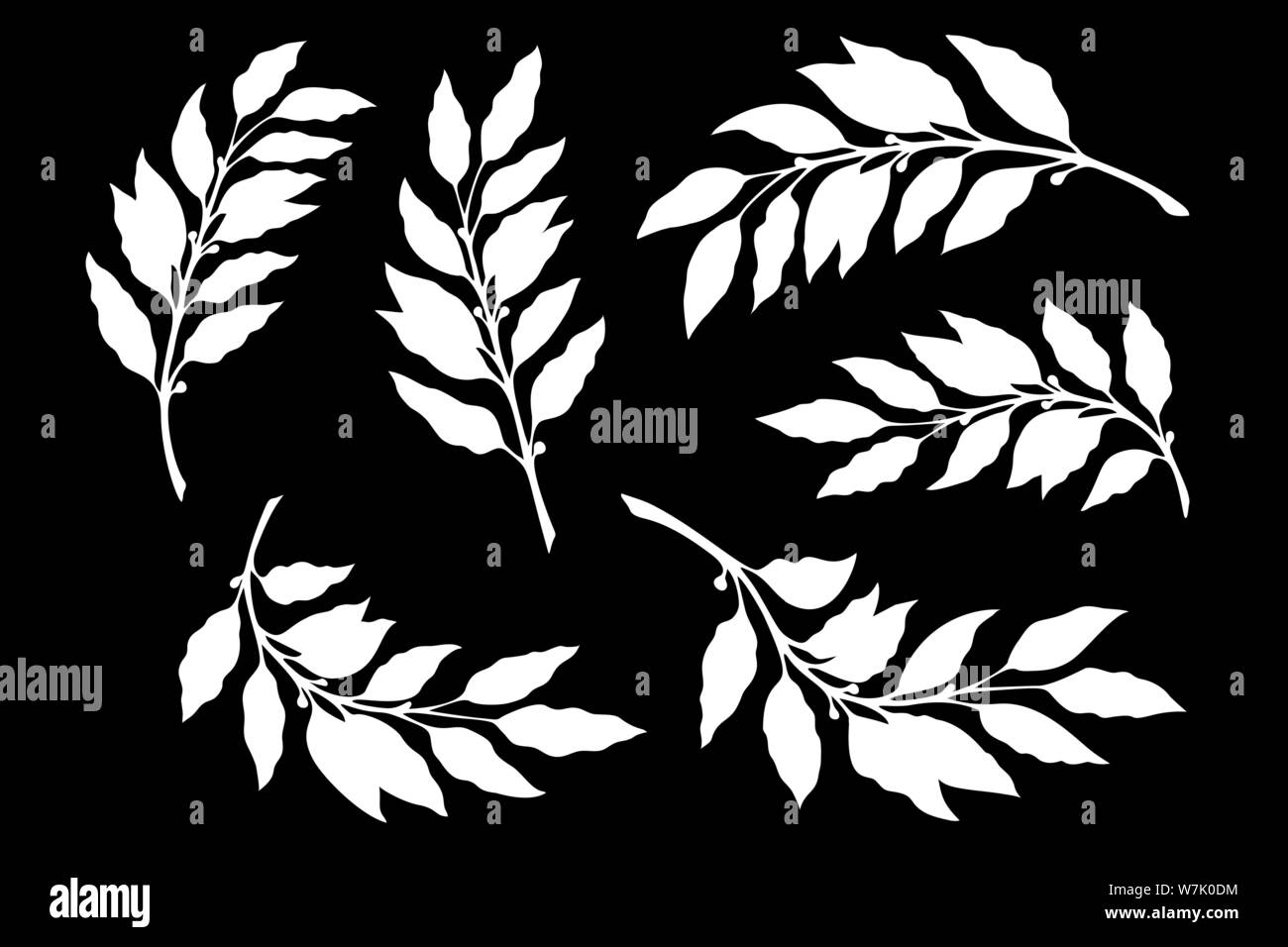 Siluetas de ramas con hojas de laurel Imagen Vector de stock Alamy