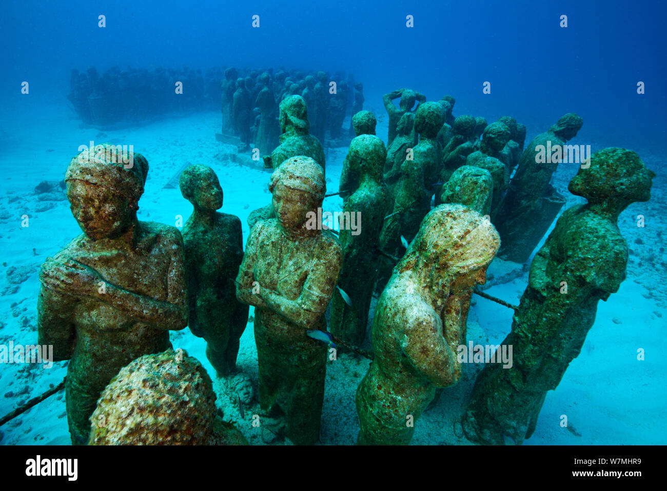 Submarino estatuas a la musa Museo subacuático de Cancún, un proyecto de  conservación para promover el crecimiento de los corales. Isla Mujeres,  Cancún, Parque Nacional del Mar Caribe, México Fotografía de stock -