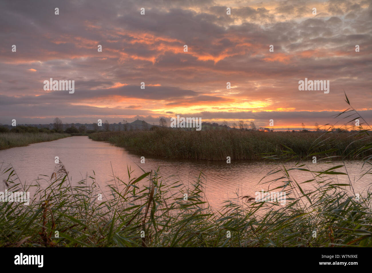 Sharpham reserva RSPB, un antiguo sitio de extracción de turba, ahora lleno de agua y rodeado de cañaverales, Glastonbury Tor en segundo plano. Dawn, Moody, Somerset, Reino Unido, Octubre 2011, compuesta digital Foto de stock