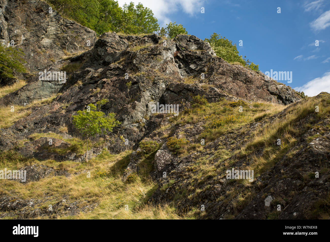 Roca ígnea geología y vegetación. Rocas Stanner Reserva Natural Nacional, Powys, Gales, Reino Unido. Foto de stock