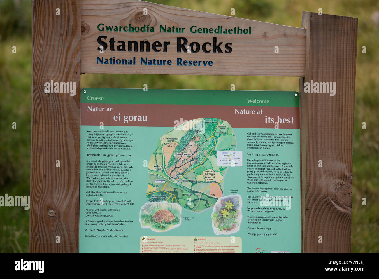 Firmar en rocas Stanner Reserva Natural Nacional, Powys, Gales, Reino Unido, septiembre. Foto de stock