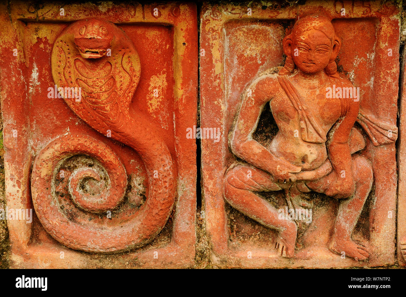 Una imagen de Buda y una cobra grabado en piedra Somapura Mahavihara Monasterio Budista, Paharpur. Patrimonio Mundial de la UNESCO. Bangladesh, junio de 2012. Foto de stock