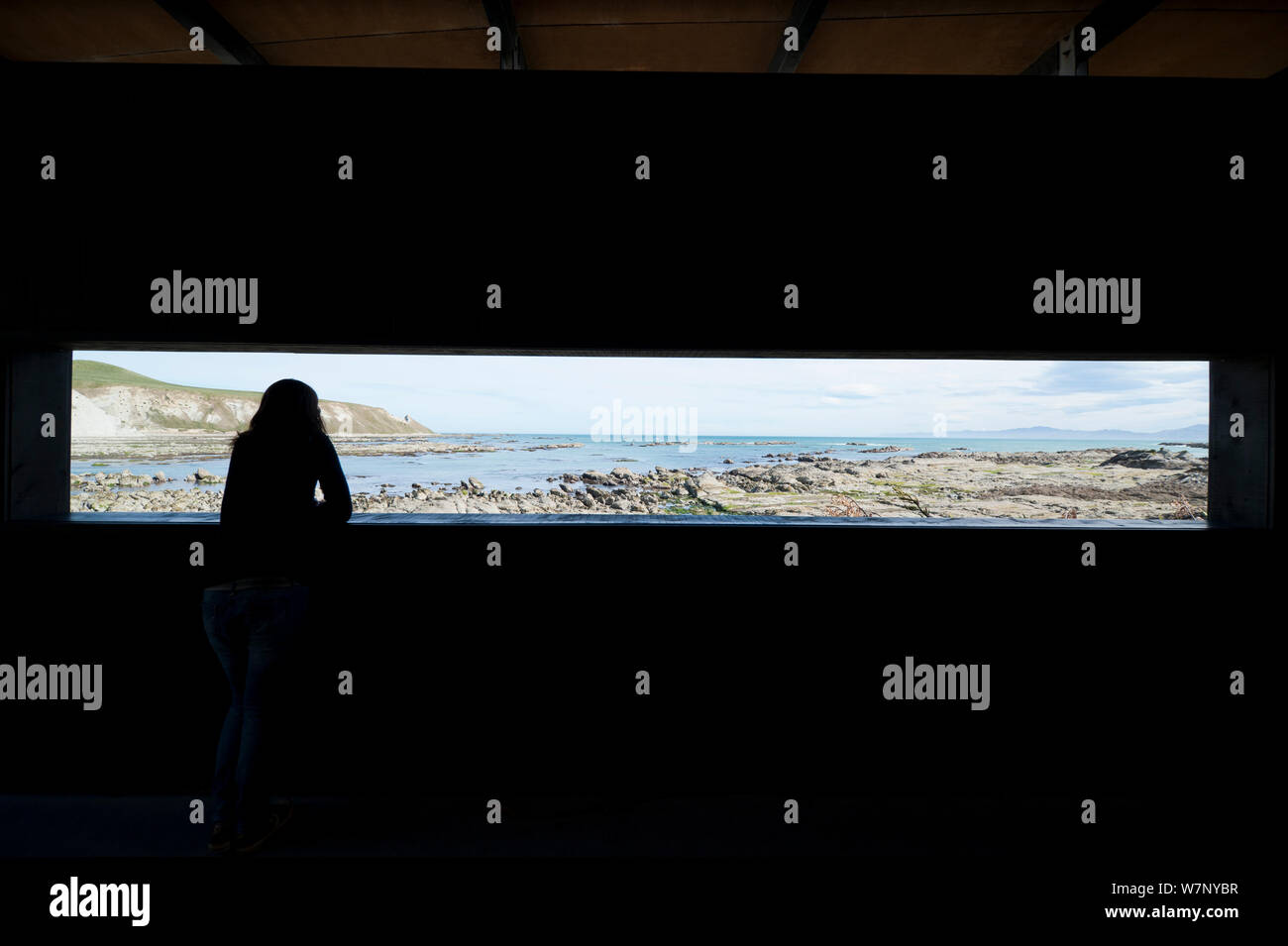 Un turista mirando a través de ocultar ventana sobre el paisaje costero. Kaikoura, Nueva Zelanda, Octubre. Foto de stock