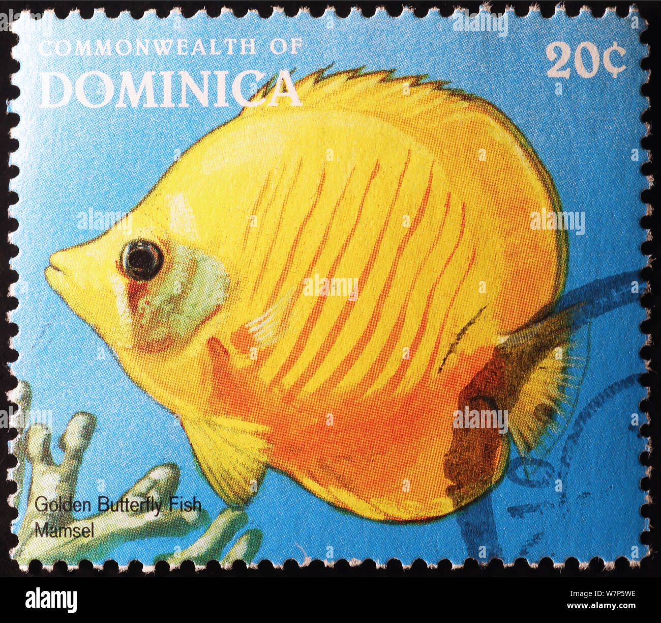 Tropical Fish amarillo sobre sellos de Dominica Foto de stock