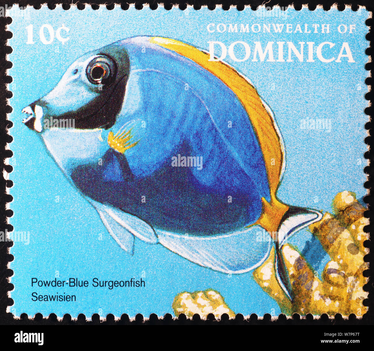 Pez Azul tropical en sello de Dominica Foto de stock
