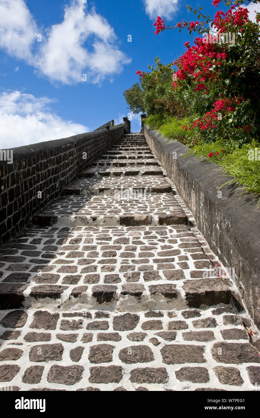 Brimstone Hill Fortress, que está situado a 790 metros sobre el nivel del mar, el siglo xviii compuesto está forrada con 24 cañones y es la más grande y mejor conservado de fortaleza en el Caribe, un parque nacional es un sitio del Patrimonio Mundial de la UNESCO, St Kitts, Saint Kitts y Nevis, Islas de Sotavento, Antillas Menores del Caribe, West Indies 2008 Foto de stock