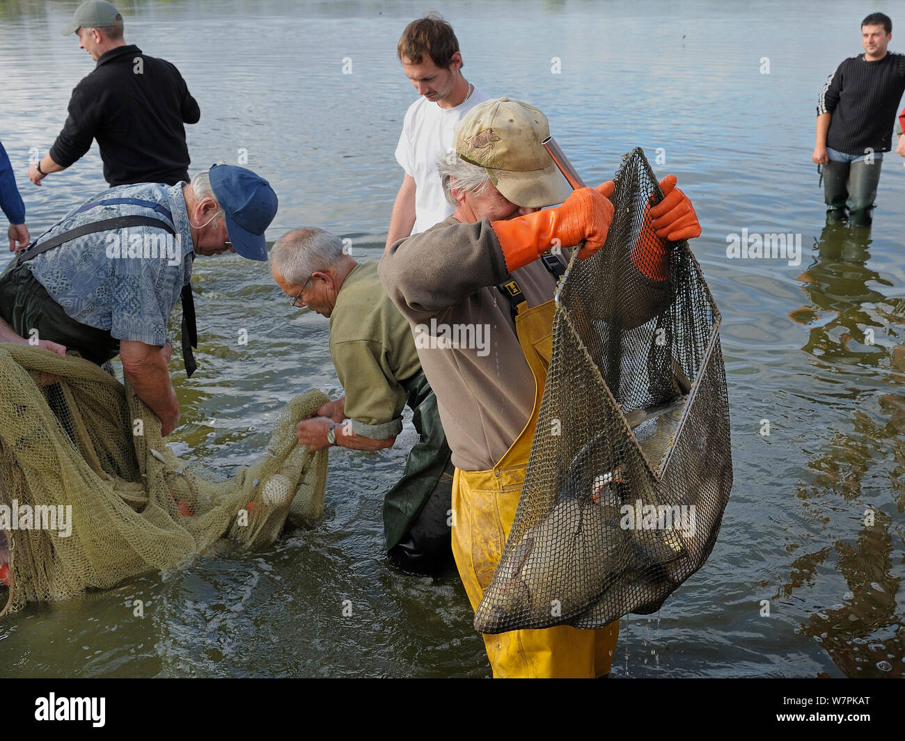 Redes de cerco fotografías e imágenes de alta resolución - Alamy