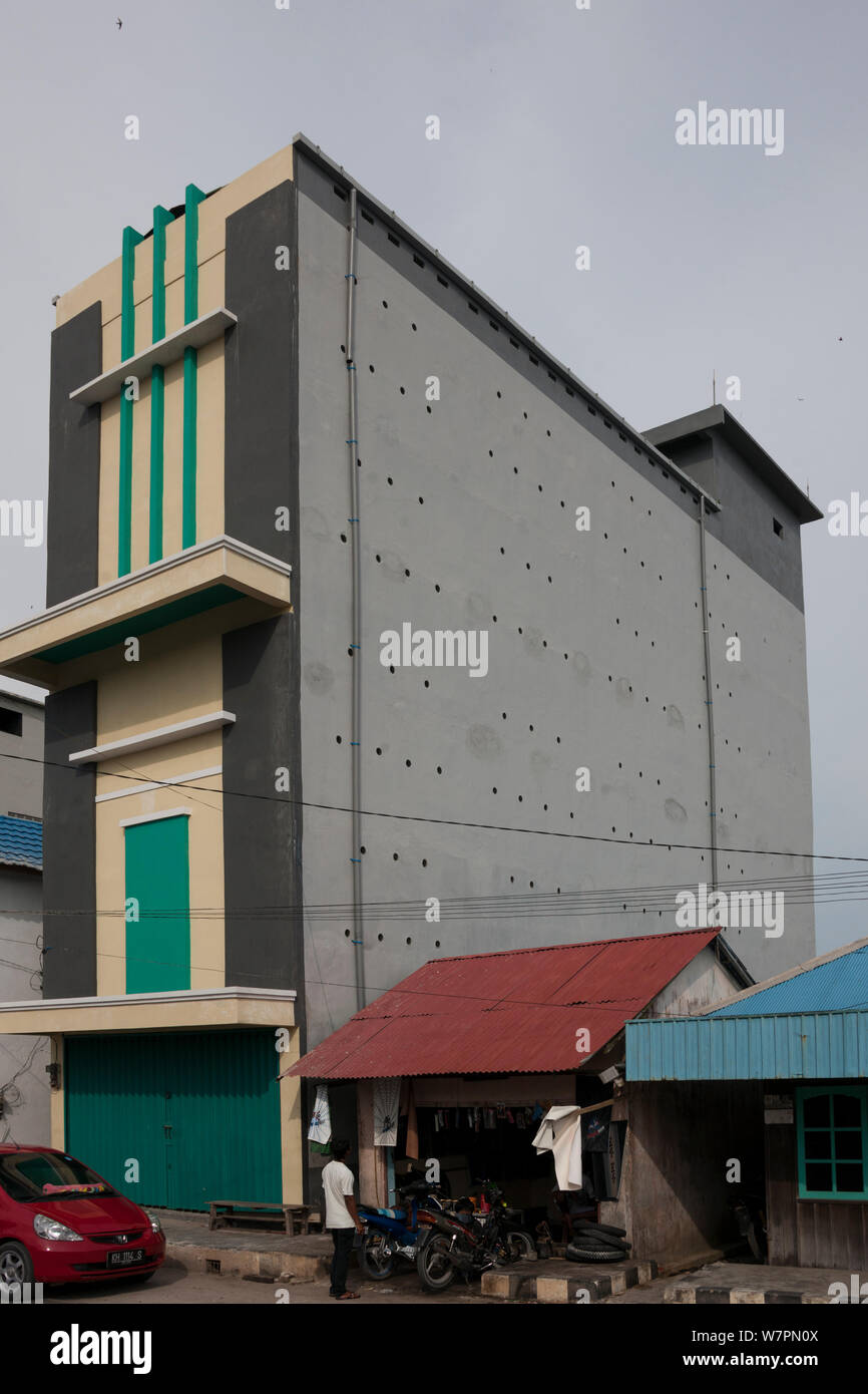 Aerodramus fuciphagus fotografías e imágenes de alta resolución Alamy