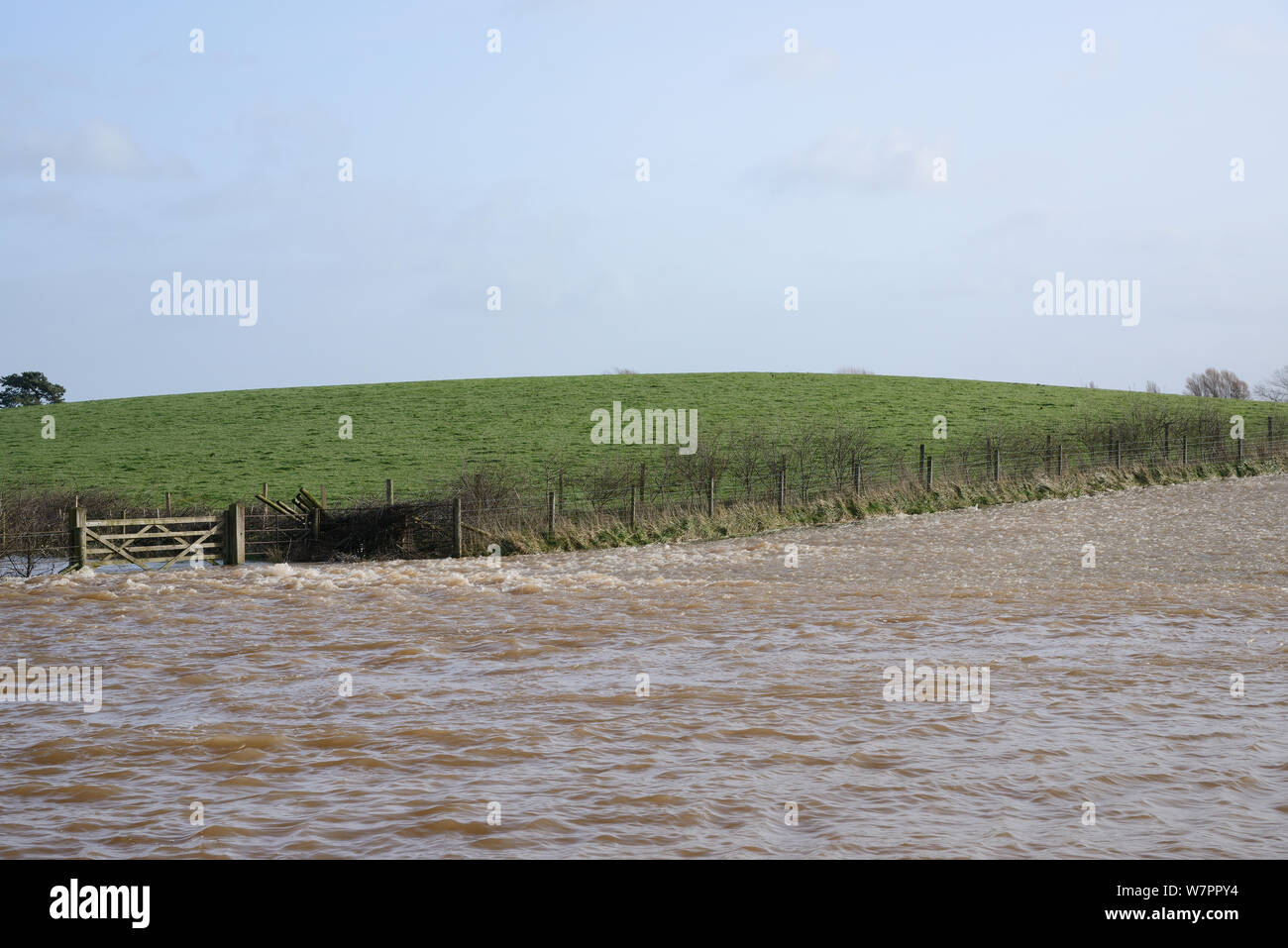 Las aguas de la inundación que fluye sobre tierras de Curry Moor para bajar la sal Moor tras semanas de intensas lluvias, cerca de Athelney, niveles de Somerset, Reino Unido, enero de 2013. Foto de stock