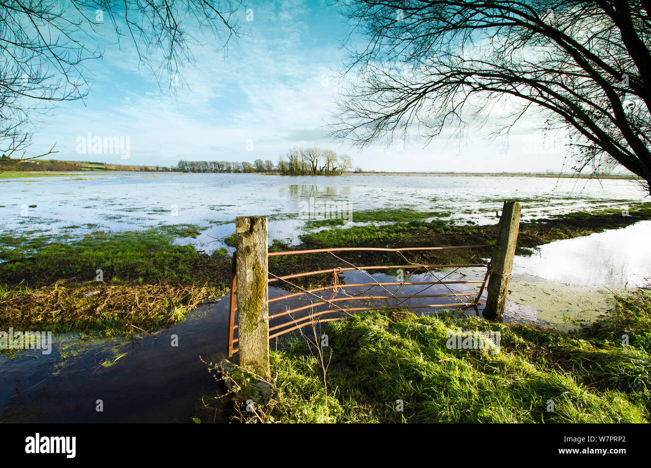 Pastizales inundados y cunetas después de fuertes lluvias, en Tealham Moor, parte de Somerset, Inglaterra, diciembre de 2012 Foto de stock