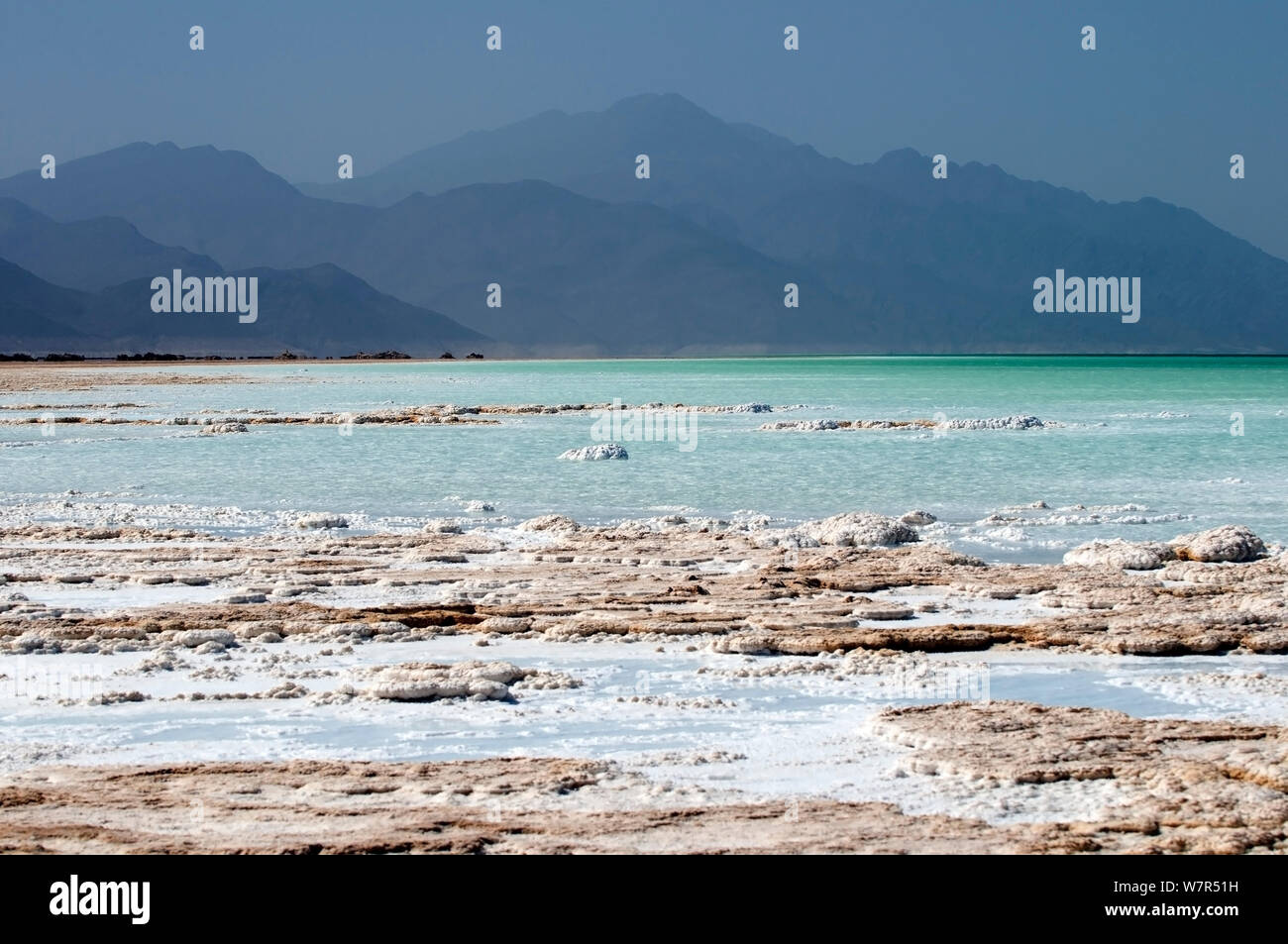 El Lago Assal - Áfricas punto inferior a 515 pies por debajo del nivel del mar, con densas concentraciones de sal en la línea de la orilla, Djibouti, marzo de 2008 Foto de stock