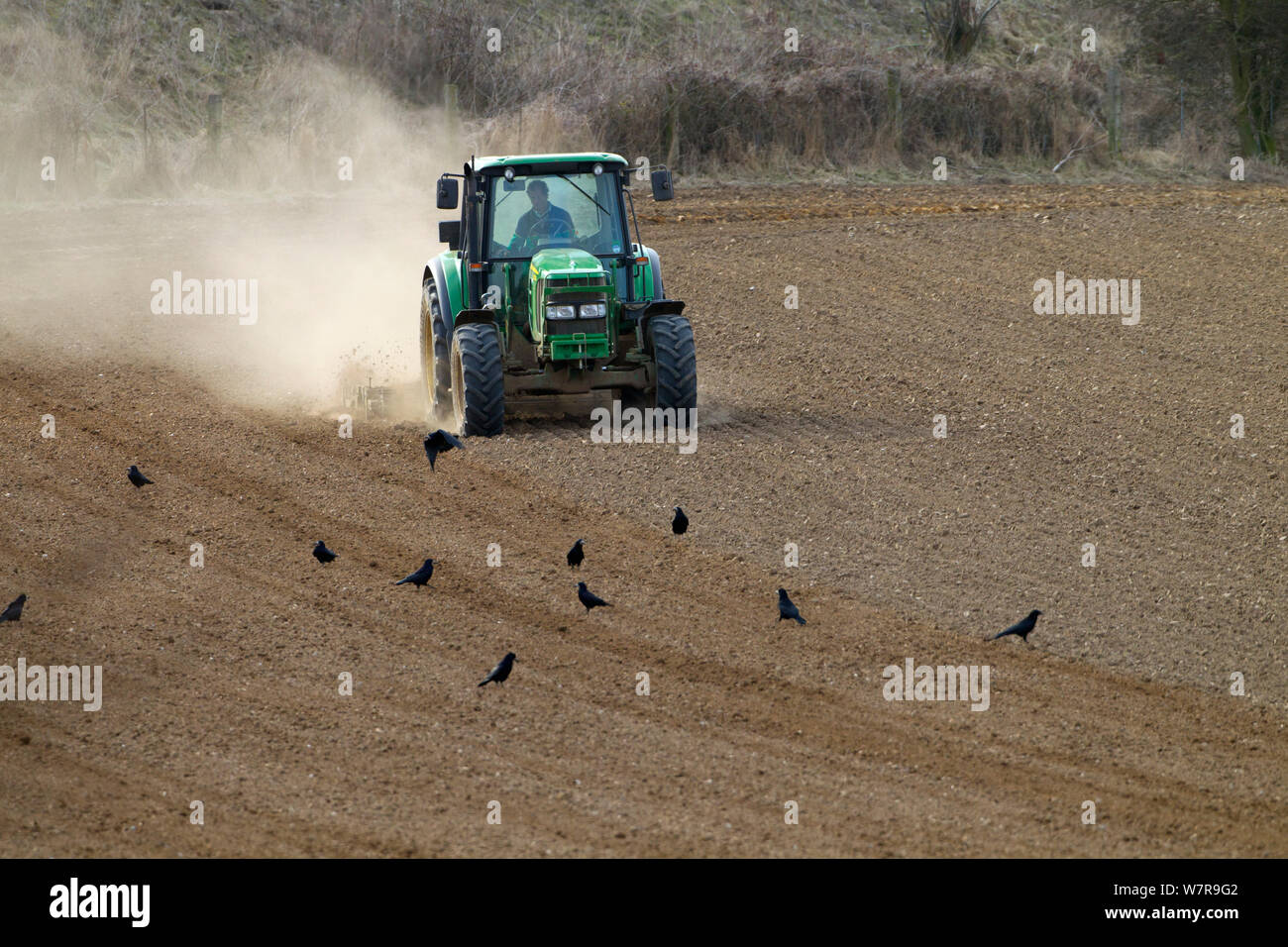 Tractor arando los campos de cereal en condiciones secas, East Runton, Norfolk, abril de 2013 Foto de stock