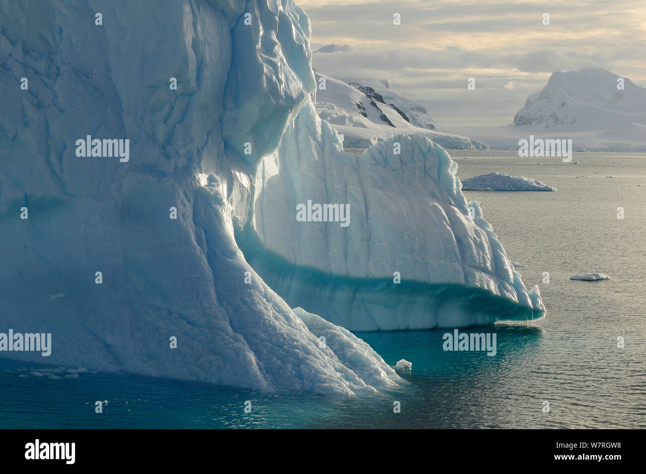 Los glaciares y el paisaje, en la Península Antártica, en la Antártida Foto de stock