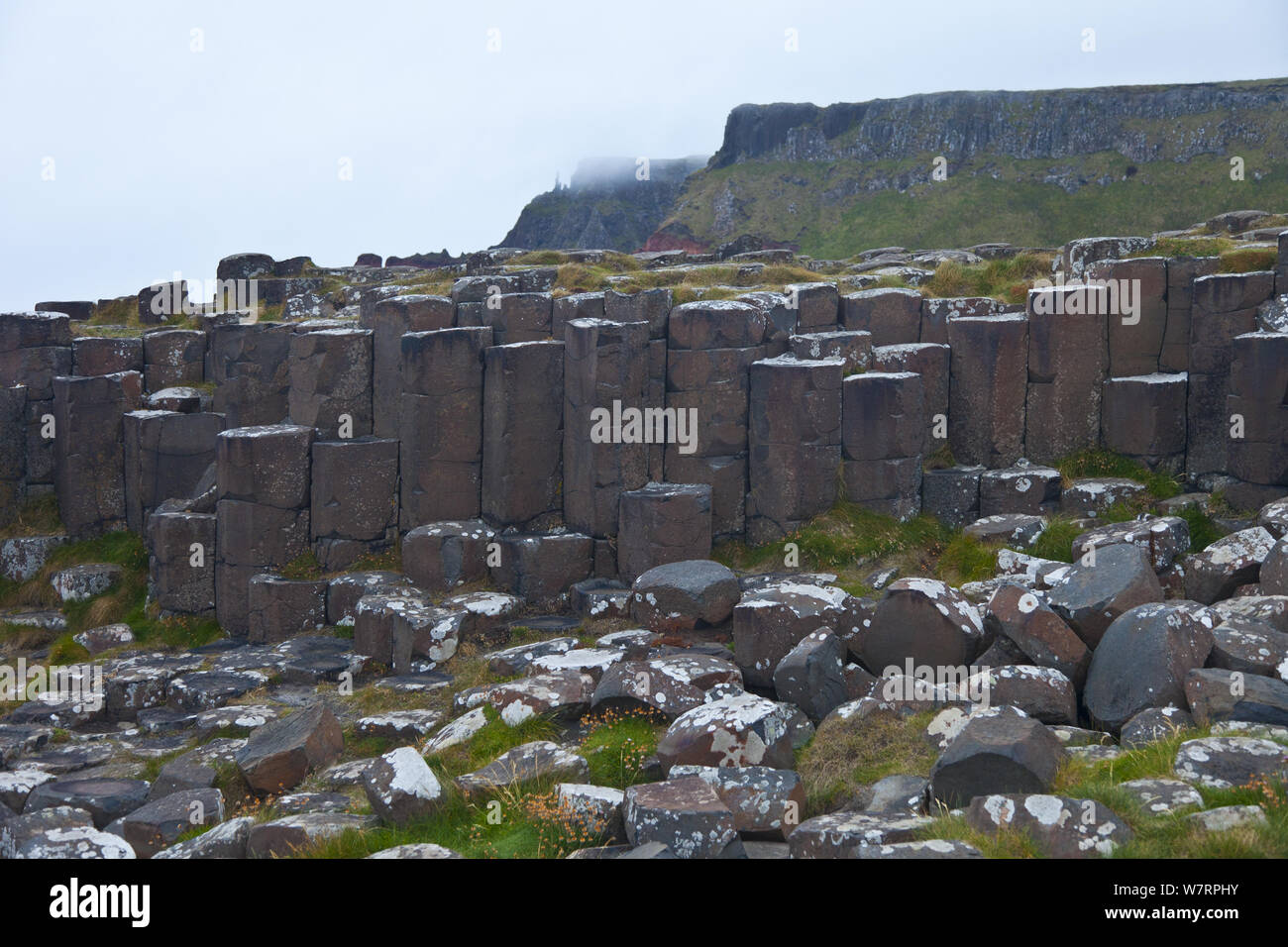 Giant's Causeway, Sitio del Patrimonio Mundial de la UNESCO, en el Condado de Antrim, Irlanda del Norte, en Europa, en junio de 2011 Foto de stock