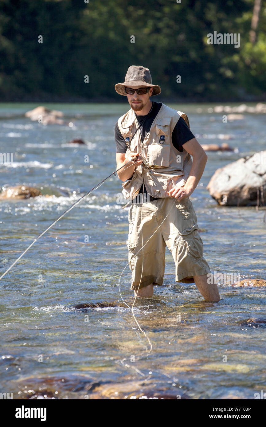 Hombre, la pesca con mosca en el medio del río Snoqualme horquilla cerca de North Bend, en Washington, EE.UU. Julio de 2013. Modelo liberado. Foto de stock