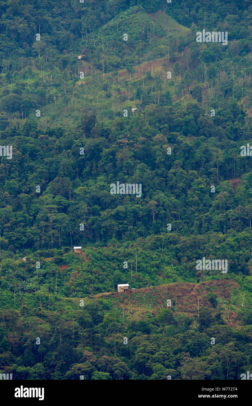 La deforestación visto desde Canande Reserva, Ecuador, Diciembre de 2010. Foto de stock
