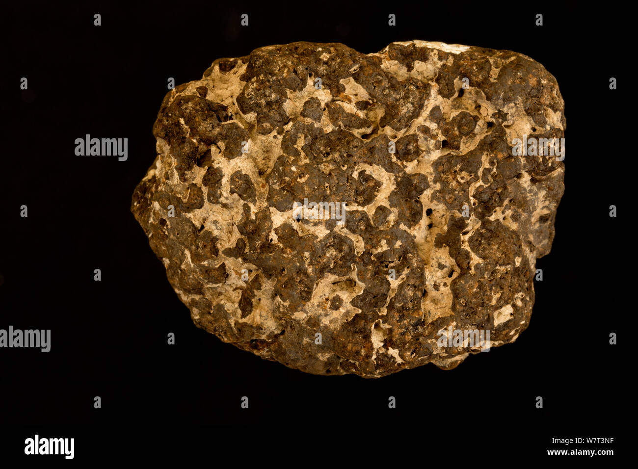 Goethita (FeO(OH)), un mineral de hierro Foto de stock
