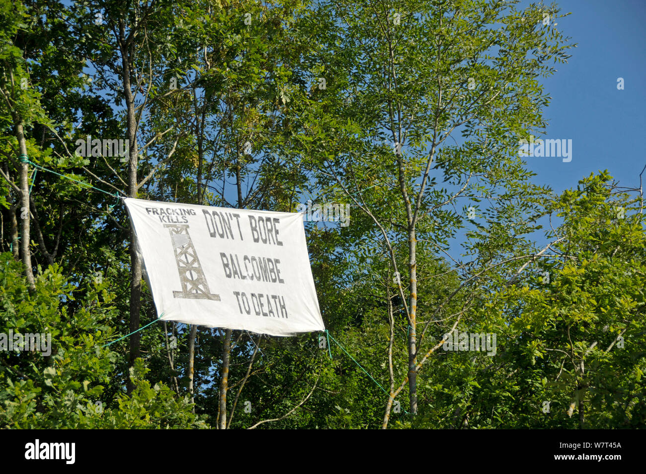 Anti-fracking, signo de protesta en árbol, Balcombe, West Sussex, Inglaterra. El 19 de agosto de 2013. Foto de stock