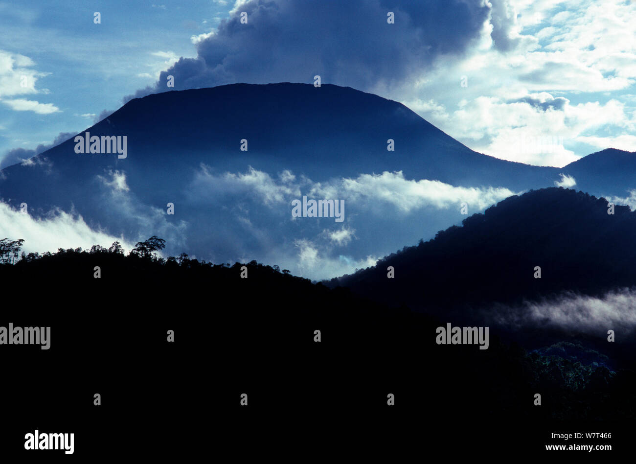 El Nyiragongo - fumar volcán activo en el sector sur del Parque Nacional de Virunga. Uno de varios volcanes activos en &#39;el macizo de Virunga Volcán Gama&#39;, República Democrática del Congo. Septiembre 1993 Foto de stock