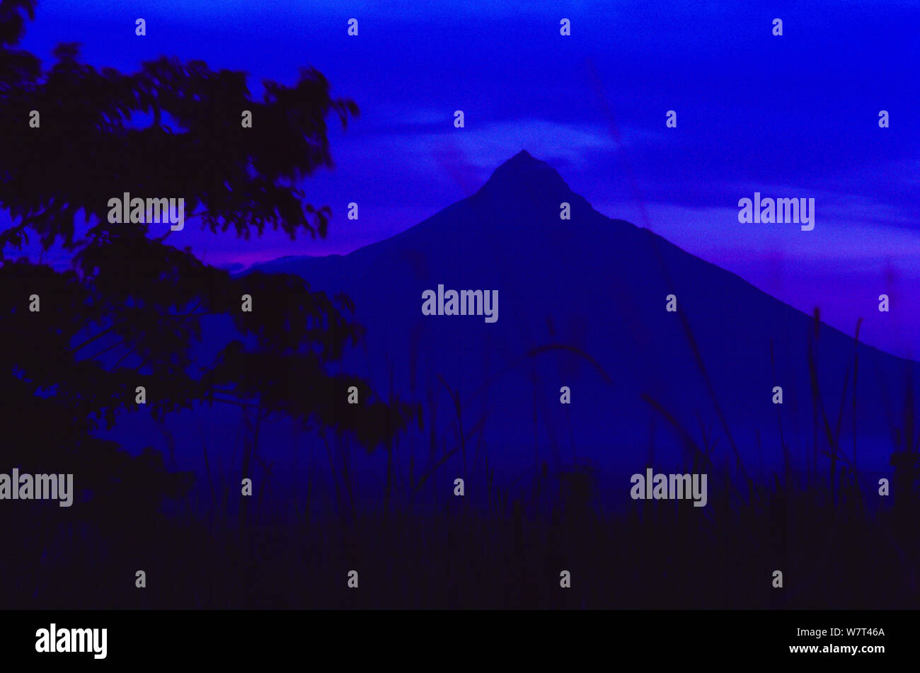 Amanecer del Monte Mikeno escénico visto de Tongo. Un volcán extinto en el sector sur del Parque Nacional de Virunga. Parte de &#39;el macizo de Virunga Volcán Gama&#39;, República Democrática del Congo. Septiembre 1993 Foto de stock