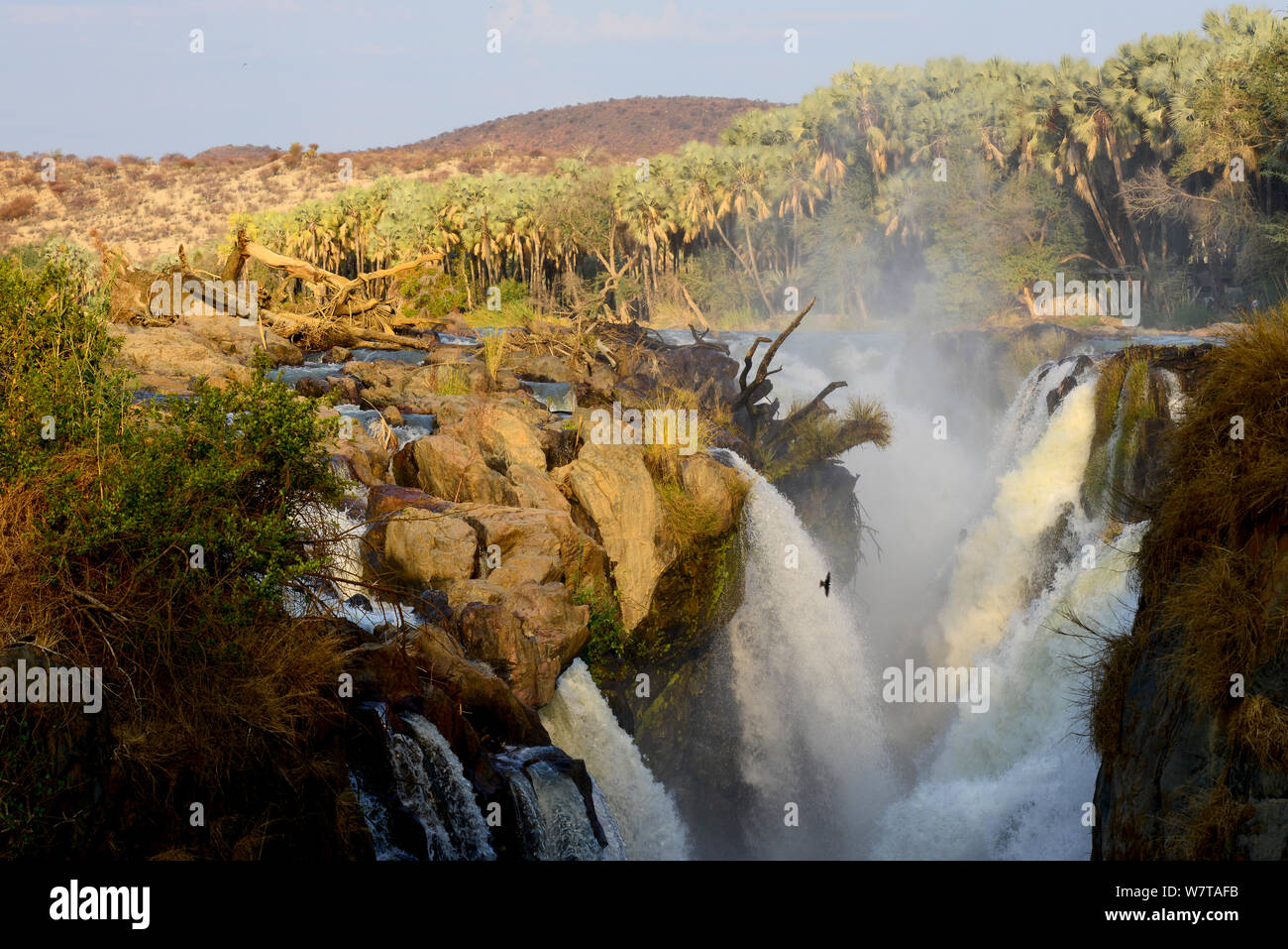 Epupa Falls en el río Kunene, en la frontera entre Namibia y Angola. Kaokoland, Namibia, septiembre de 2013. Foto de stock