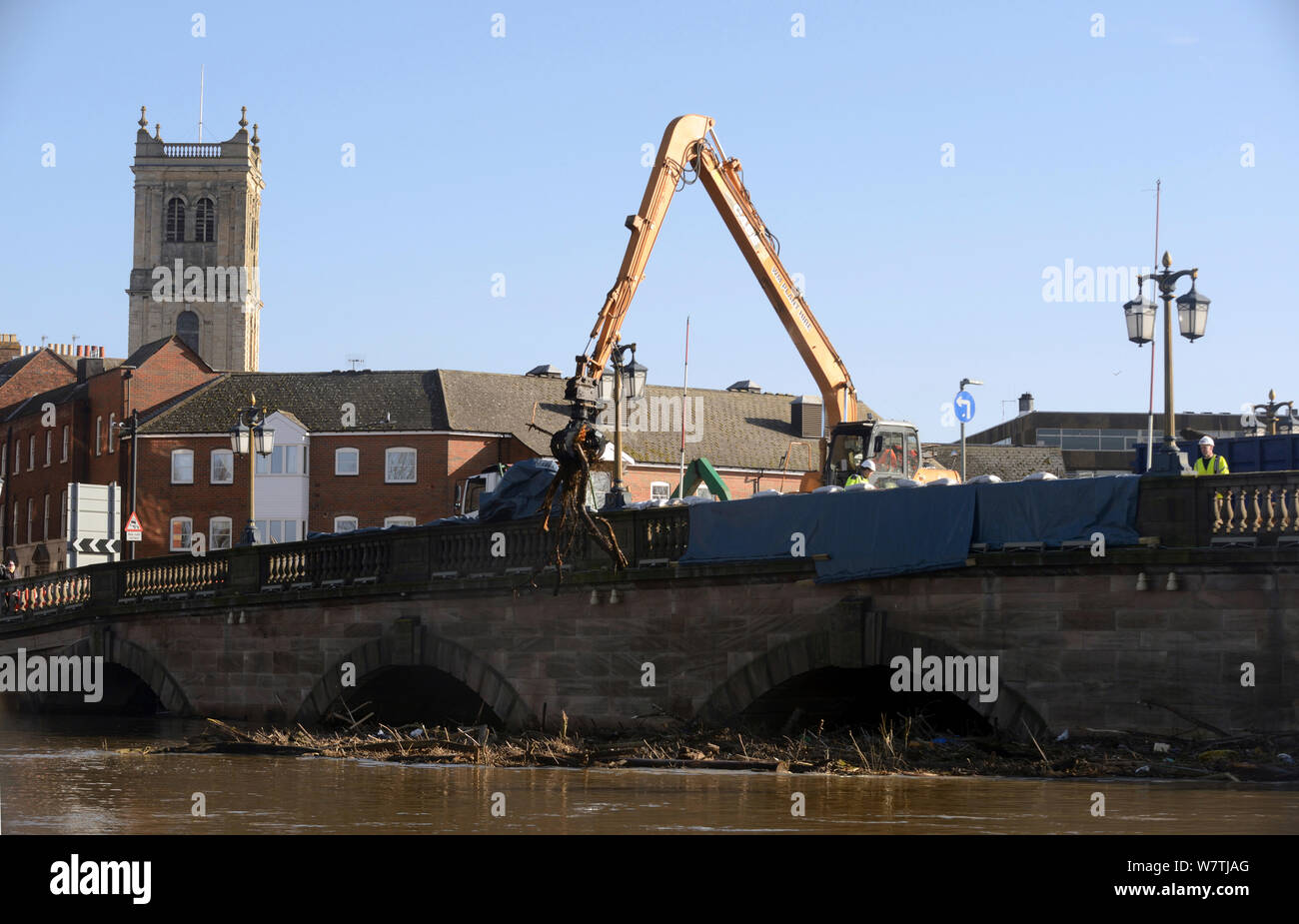 Retirar la grúa balsa desechos atrapados por Worcester puente debido a inundaciones sin precedentes, Worcestershire, Inglaterra, Reino Unido. El 16 de febrero de 2014. Foto de stock