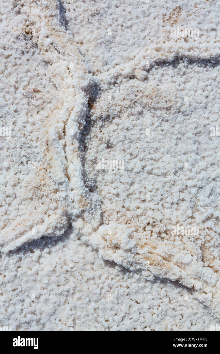 Patrones en la sal de la cuenca Badwater pands, Parque Nacional Valle de la Muerte, California, Estados Unidos, marzo de 2013. Foto de stock
