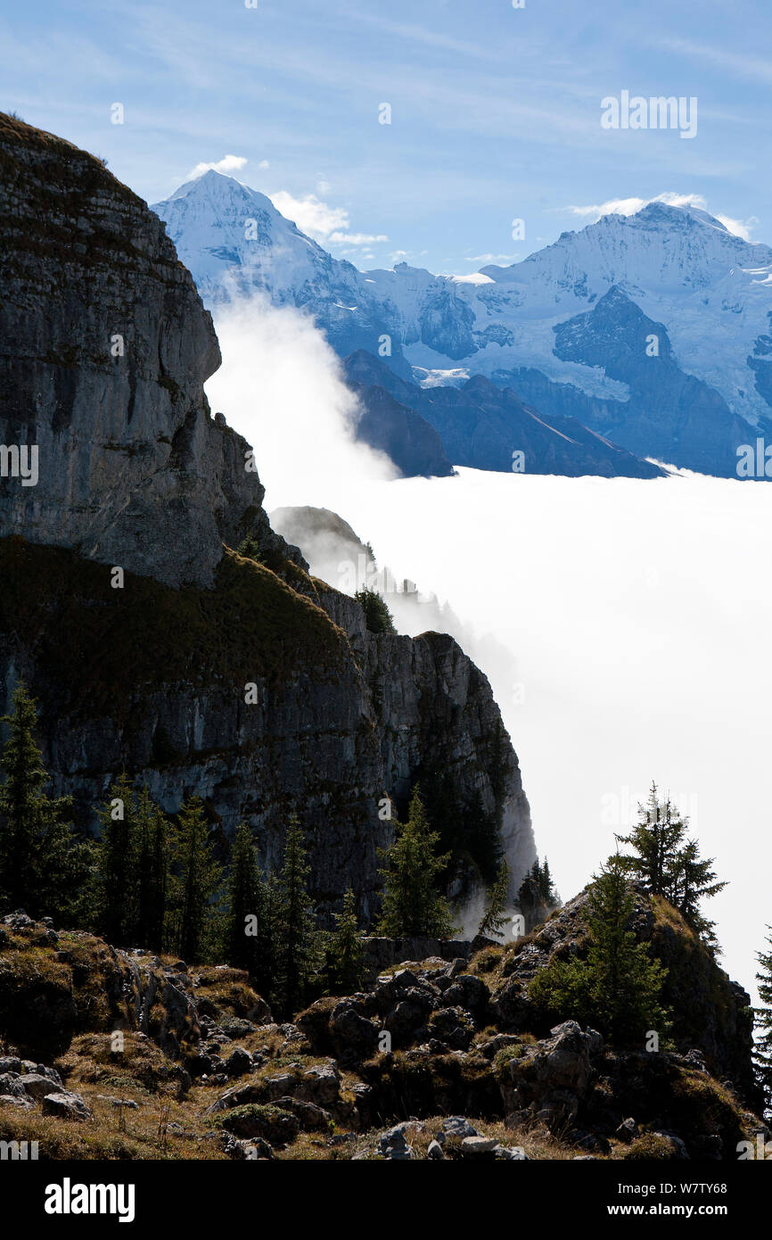 El Oberland bernés Región Alpina, en Suiza. Mirando al norte desde cerca Schynigge Platte sobre un mar de nubes que cubre el valle de Grindelwald. Monte Tuba (1917m) en el primer plano y el Monch y el Jungfrau en segundo plano. De octubre de 2013. Original digital Foto de stock