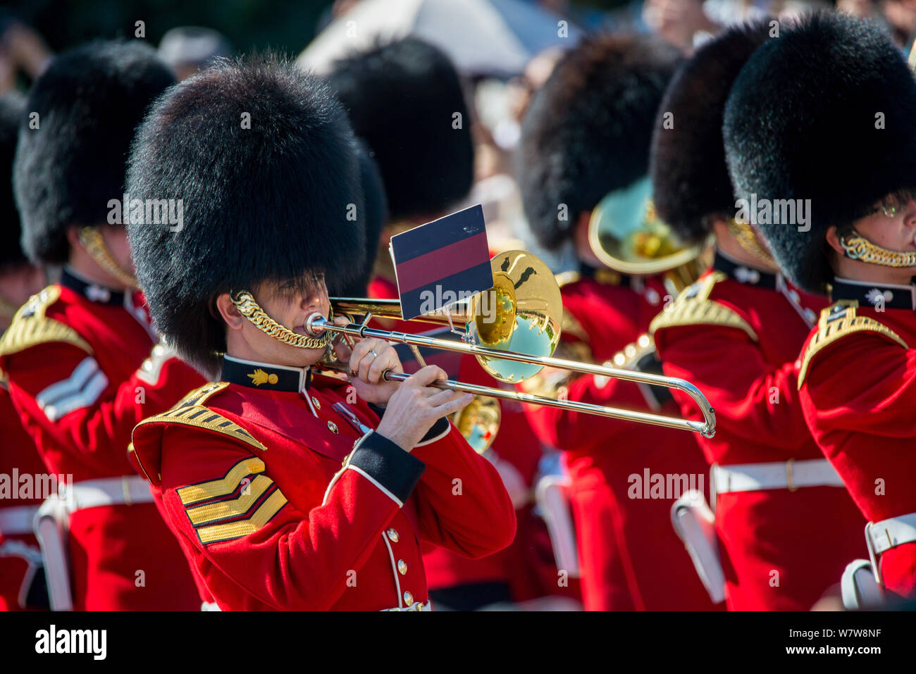 La Marching Band de la guardia en el Palacio de Buckingham Galés desfile Foto de stock