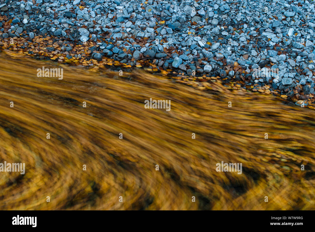 Resumen de río con hojas de otoño y rocosa costa, Parque Nacional Dovrefjell, Noruega, septiembre de 2013. Foto de stock