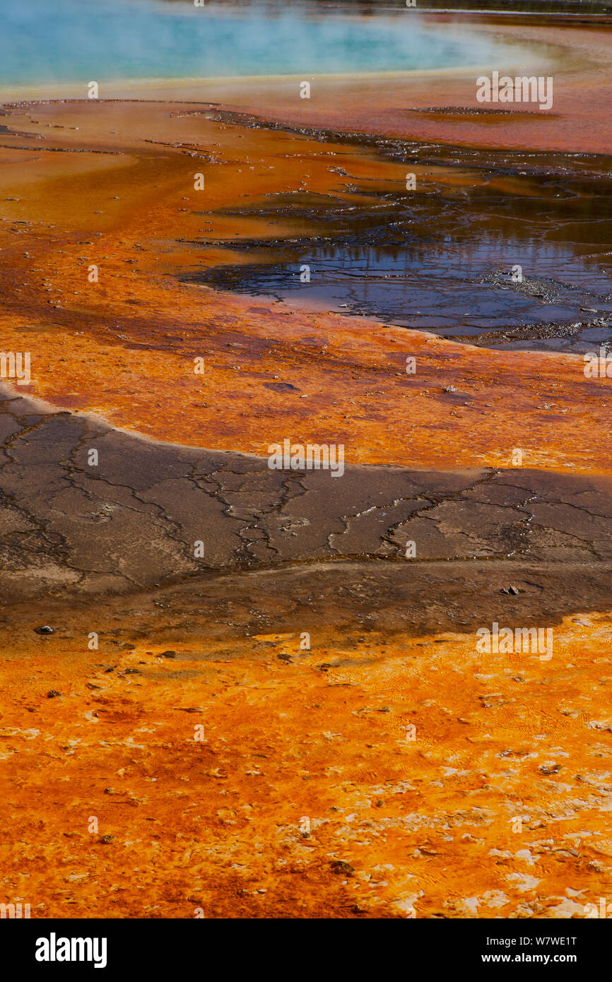 Coloridos patrones formados por ciano bacterias, Grand Prismatic Spring, el Parque Nacional Yellowstone, Wyoming, Estados Unidos, Julio. Foto de stock
