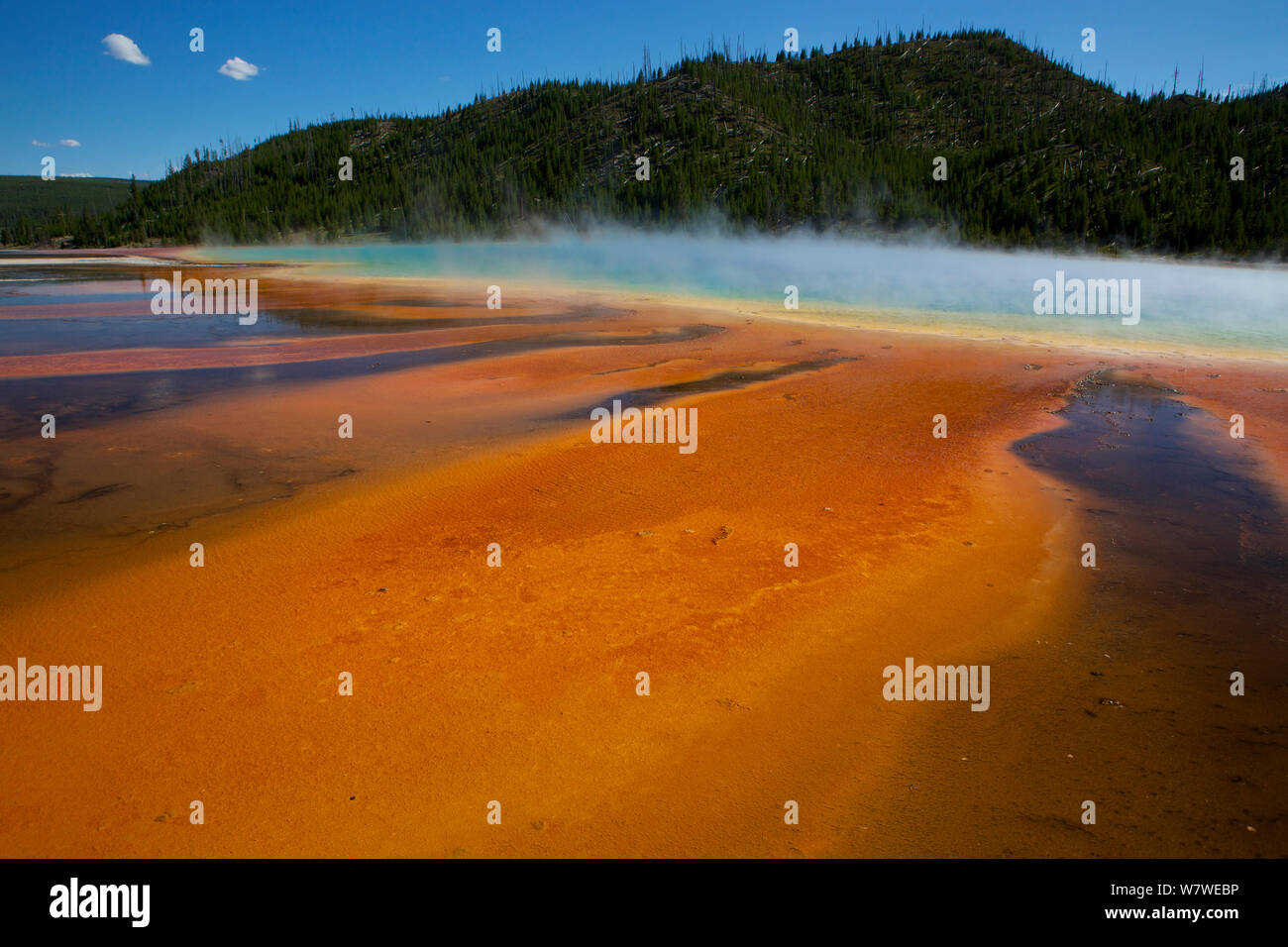 Coloridos patrones formados por ciano bacterias, Grand Prismatic Spring, el Parque Nacional Yellowstone, Wyoming, Estados Unidos, Julio. Foto de stock