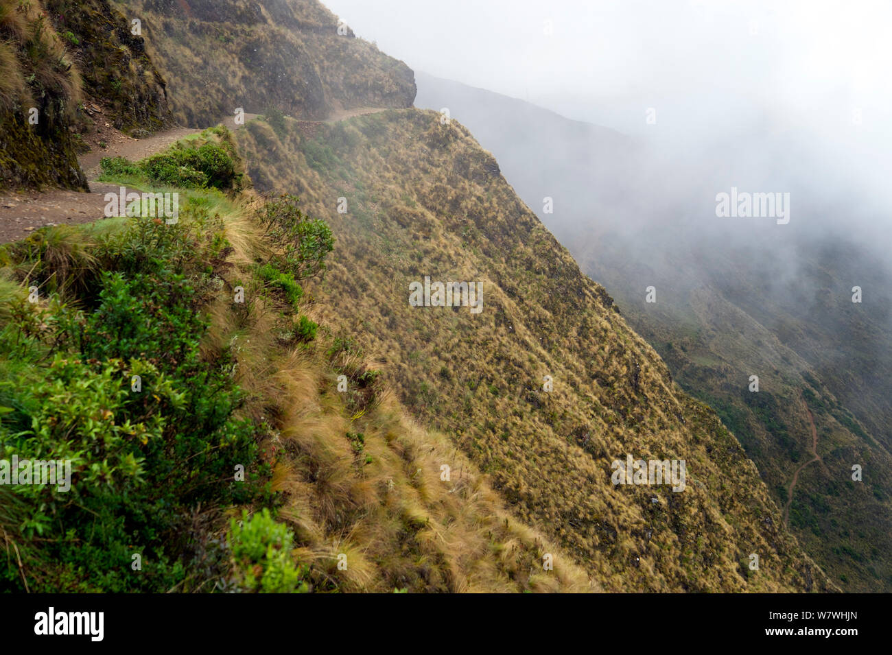 Ruta en el Yunga Cruz Trail en un empinado valle con nubes bajas, Precolumbian / Camino Inca, los Andes, Chunavi, Bolivia, noviembre de 2013. Foto de stock