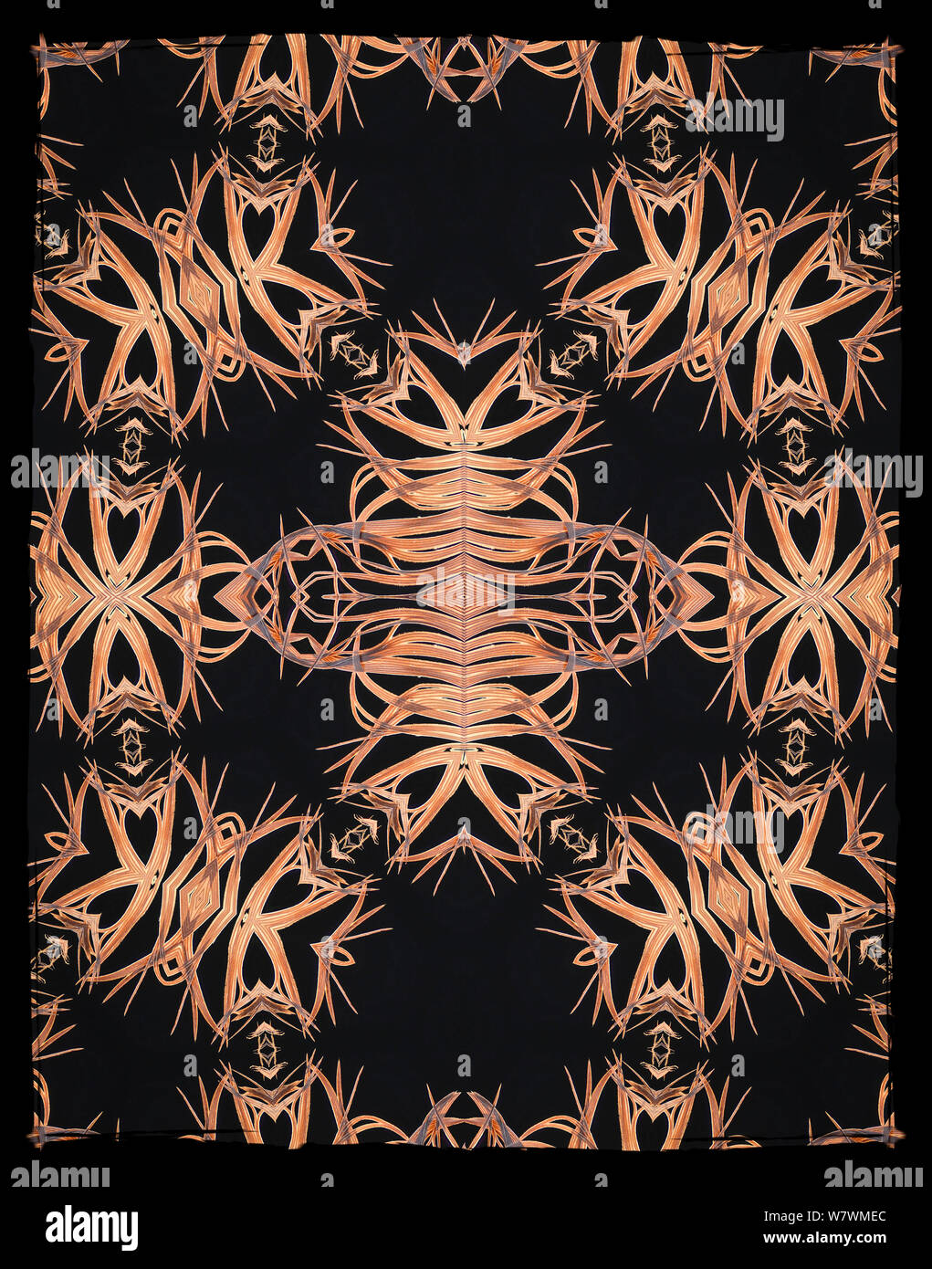 Calidoscopio patrón formado a partir de la imagen de África Oriental (Balearica regulorum grúa corona de plumas). Embargados por NAT GEO hasta finales de 2015 Foto de stock