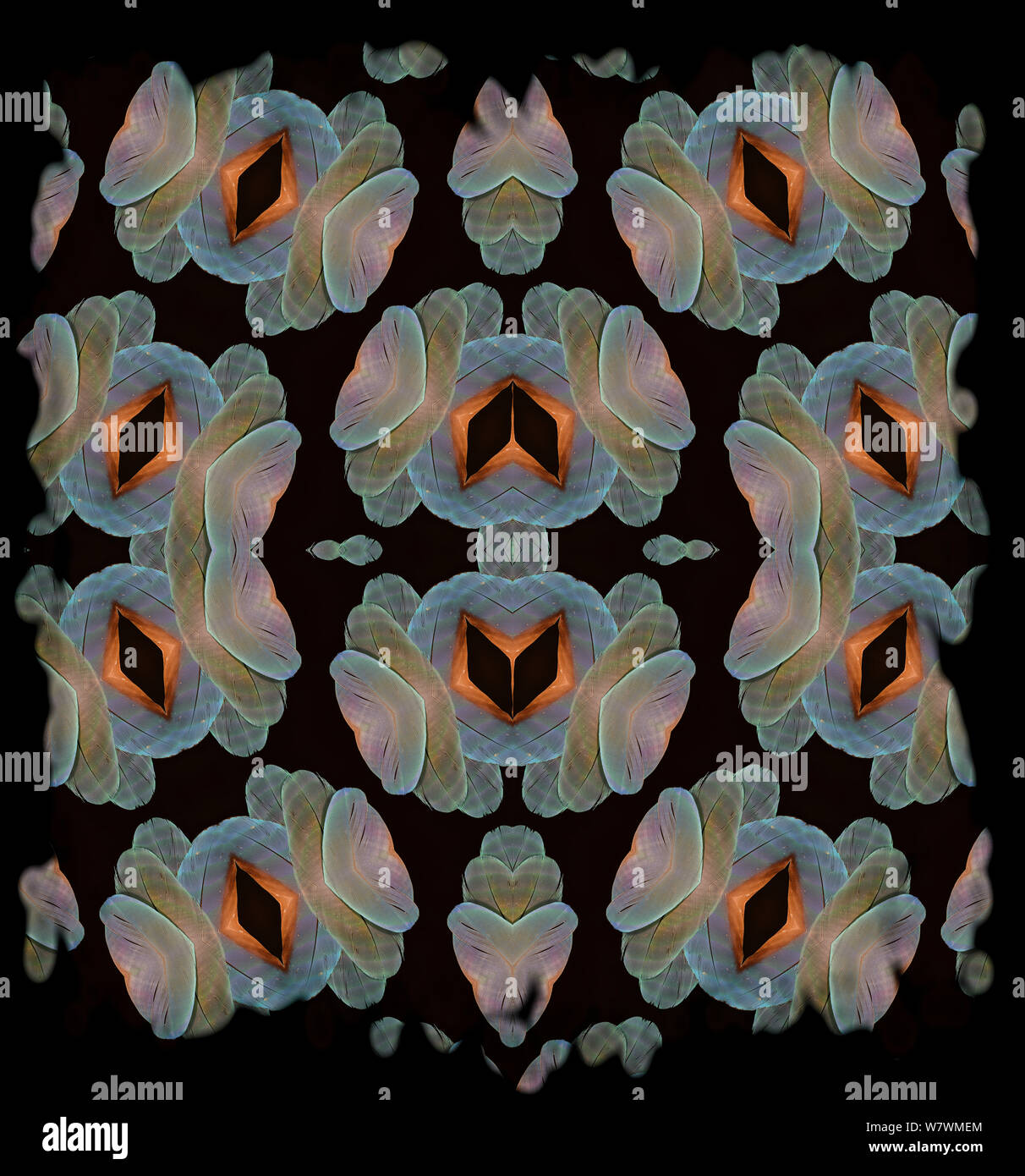 Calidoscopio patrón formado a partir de la imagen de Catalina, híbrido de plumas de guacamayo azul y amarillo x Guacamaya Guacamaya Roja. Embargados por NAT GEO hasta finales de 2015 Foto de stock